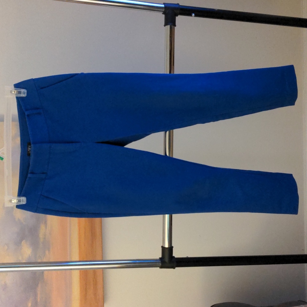 Loft Julie Skinny blue pants